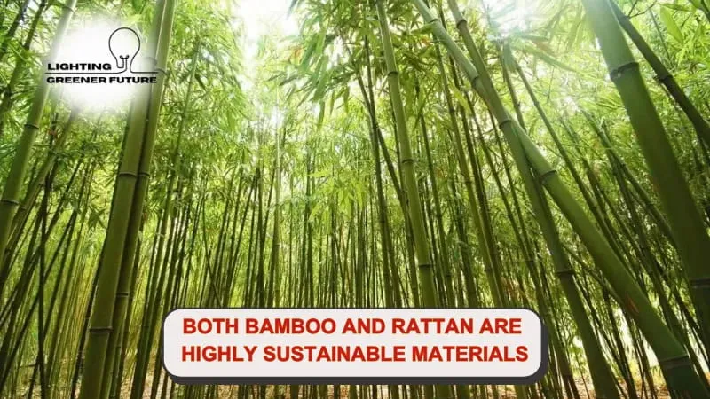 both bamboo and rattan are highly sustainable materials