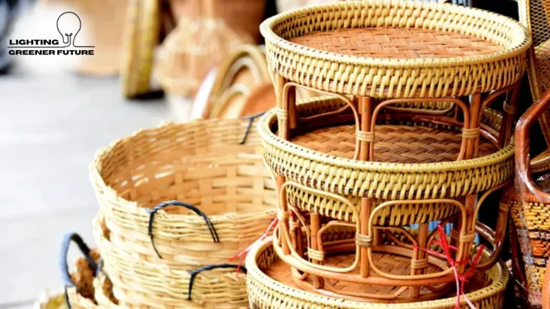 key differences between rattan and bamboo