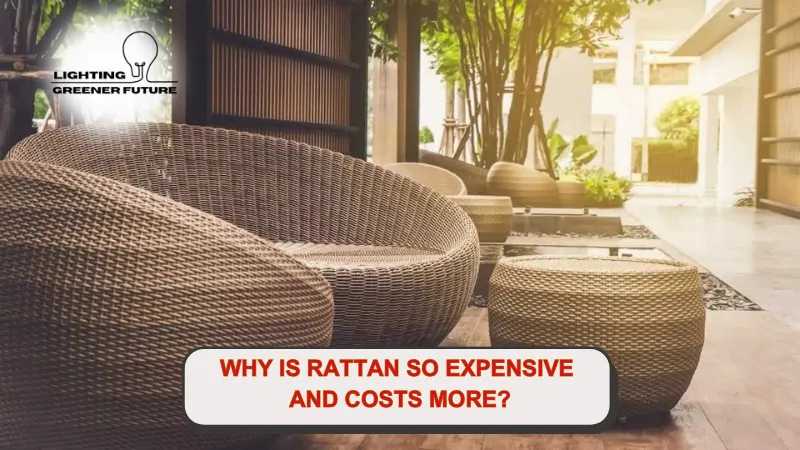 why is rattan so expensive and costs more