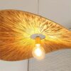 lanikai rattan pendant light