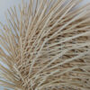 small harbour handwoven rattan flush mount